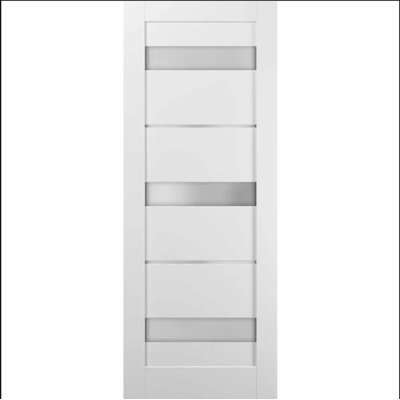Quadro Frosted Glass Barn White Door with Installation Hardware Kit