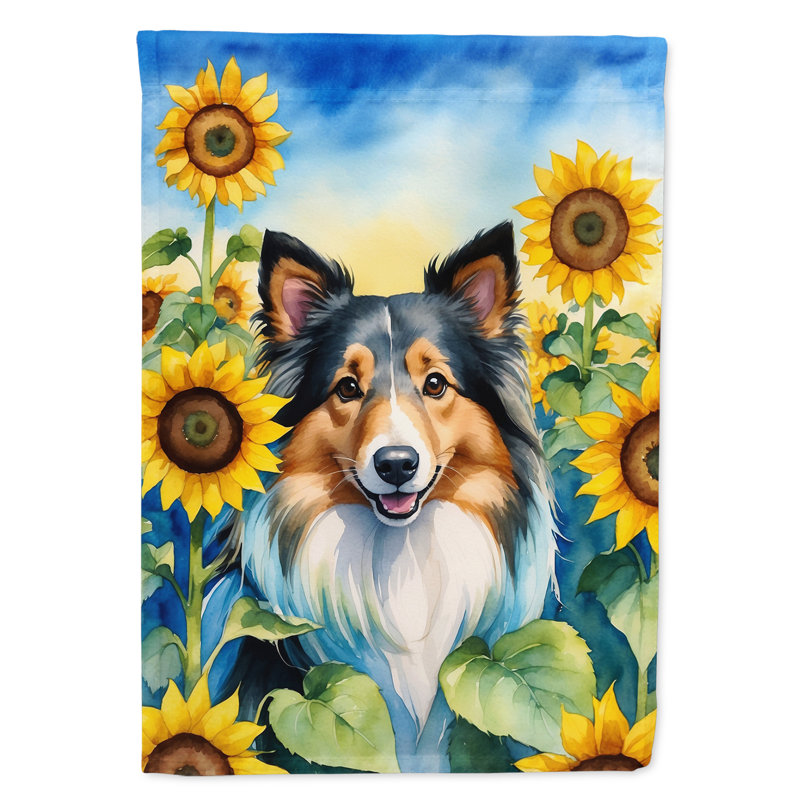 Drapeau de la maison du tournesol Malamute d'Alaska, Berger Shetland