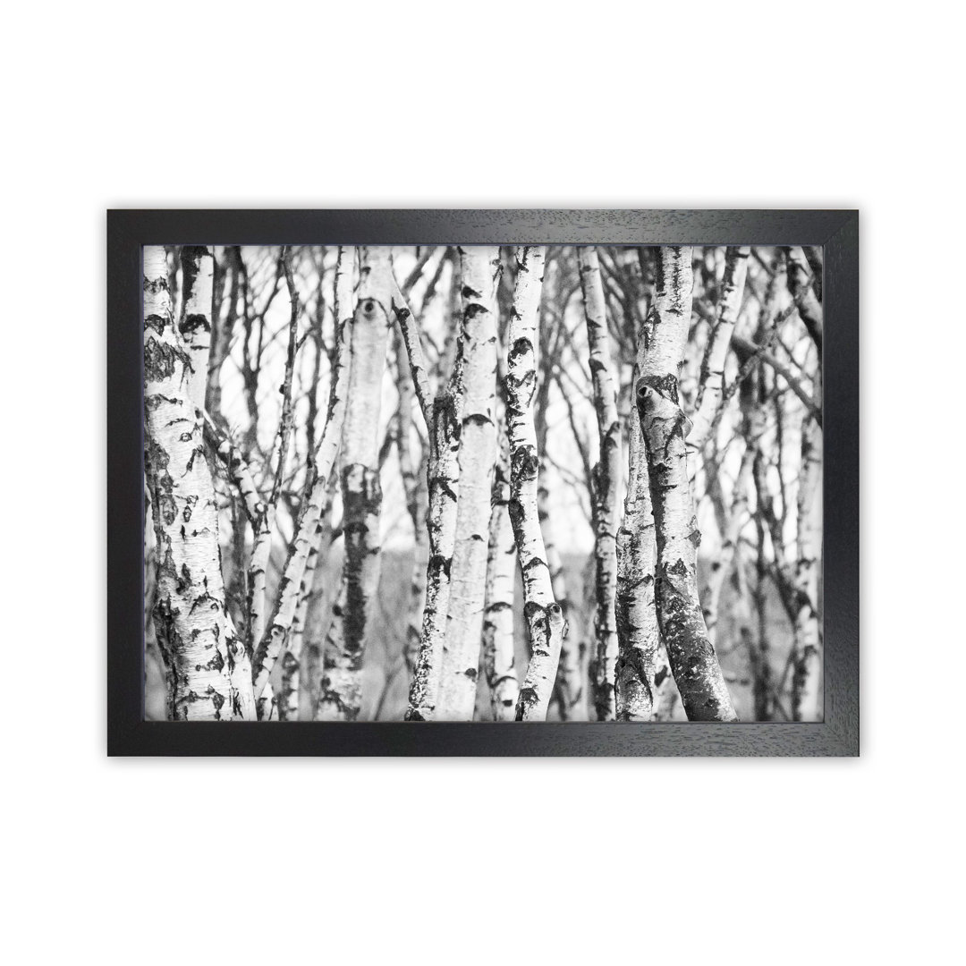 Off the Beaten Path by Victoria Frost - Photograph Print