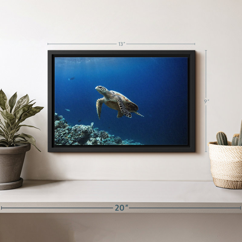 Turtle Adventure Canvas Print, 9" H x 13" W