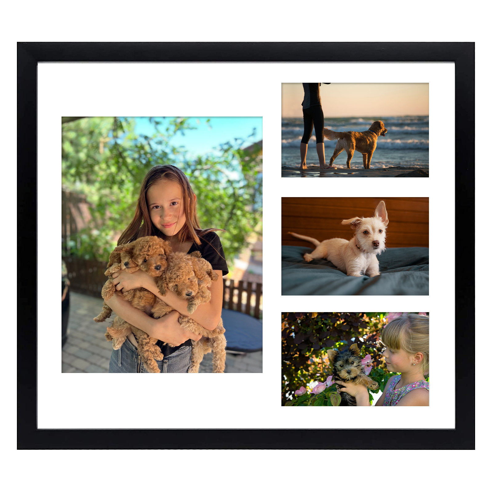 6-Opening 19 x 14.5 Two-Toned Picture Frame Wall Collage, Displays Two 4x4, Three 4x6 and One 5x7 Gracie Oaks Color: Black