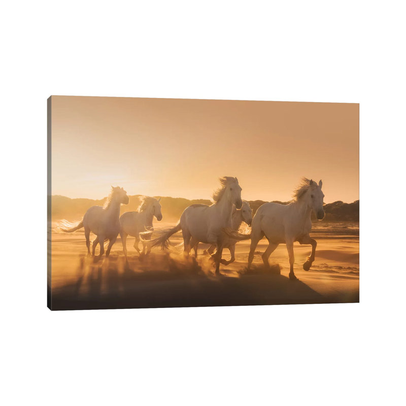 White Angels Of Camargue XLI 1 Piece Wrapped Canvas Wall Art, 101.6 cm H x 66.04 cm W x 1.91 cm D