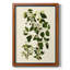 Toile encadrée de qualité supérieure Olive Greenery V - prête à être accrochée-1871847197