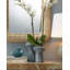 Ensemble de 2 vases de table Snorkel