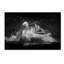 « baignoire », reproduction d’impression sur toile tendue-23532169