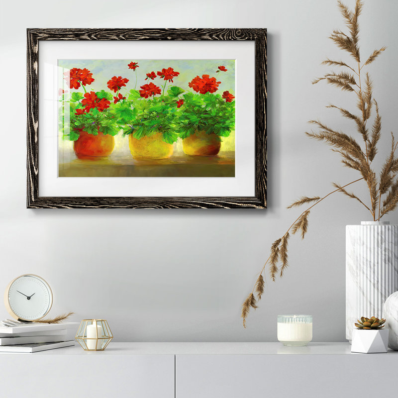 Geraniums III, reproduction d'art encadrée, Noir, H 18 po x l 26 po x P 1,5 po