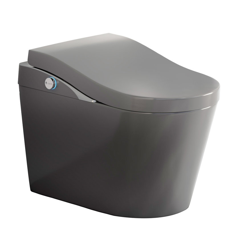 Toilette intelligente sans réservoir avec bidet, chasse d'eau automatique, ouverture / fermeture automatique, siège chauffant, eau chaude et sèche, fonction de bouclier en mousse, gris mat