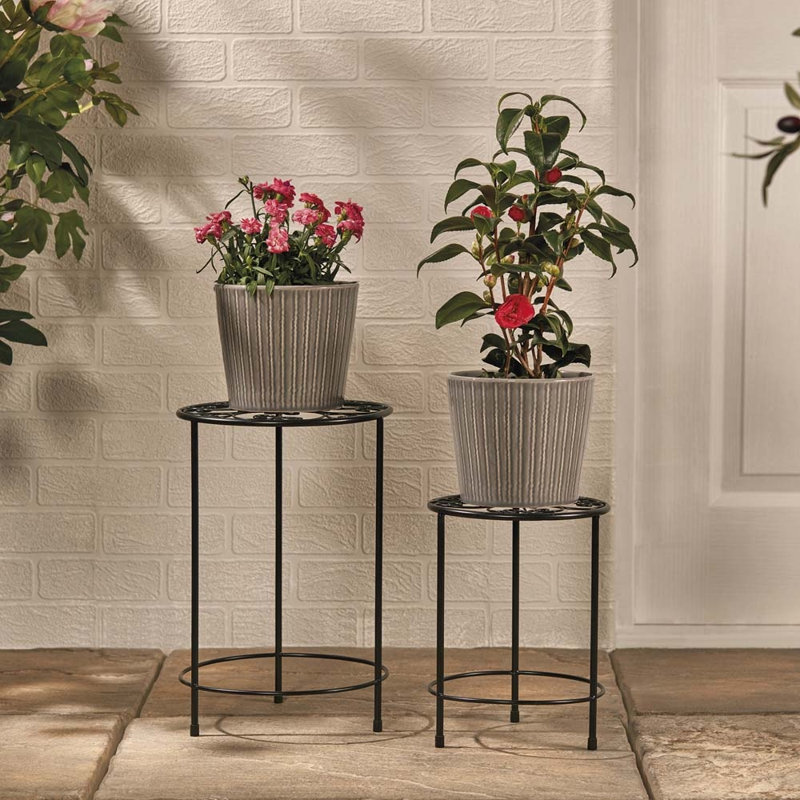 Shawn Plant Stand, Black