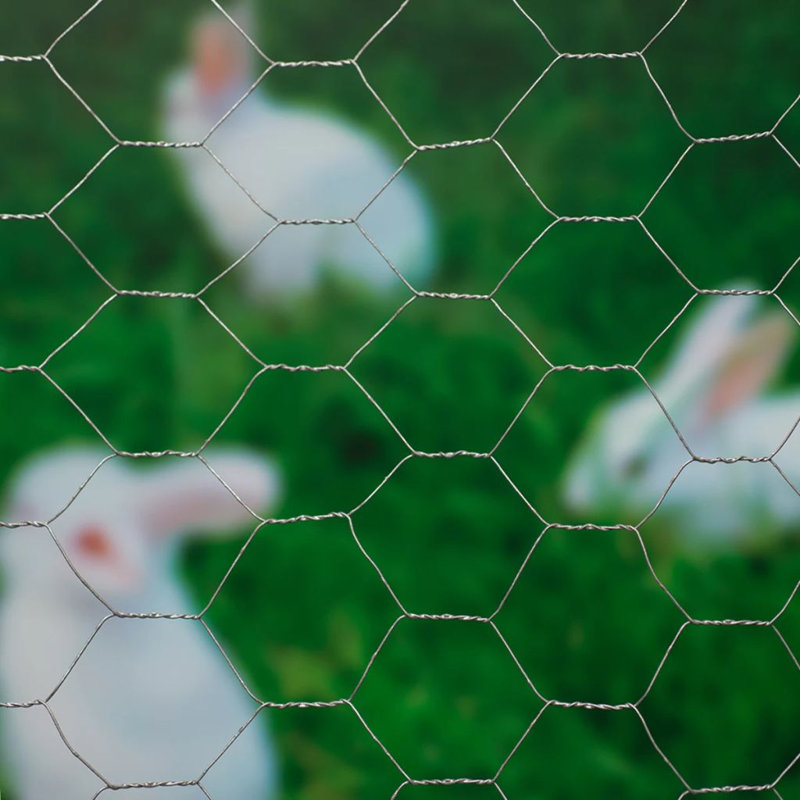 Nature Wire mesh Hexagonal 0.5 x 2.5m 25mm Galvanised Steel