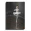 «Tiny Dancer» par Oscar Alvarez Pardo-101624010