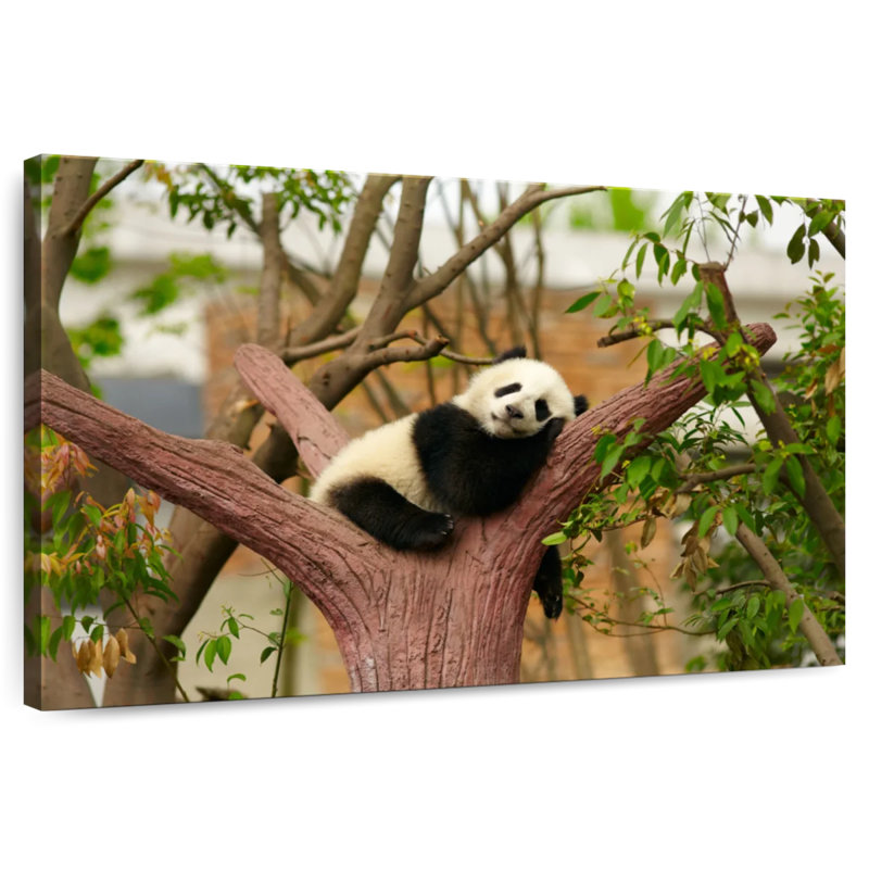 Panda endormi Brampt, H 16 po x l 24 po
