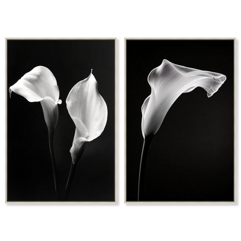 Calla Lily Set Floral & Botanical Canvas Print by Oliver Gal, Black Frame, 10 x 15, 25"H x 37"W, Silver Floater Frame