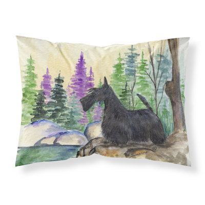 Microfiber