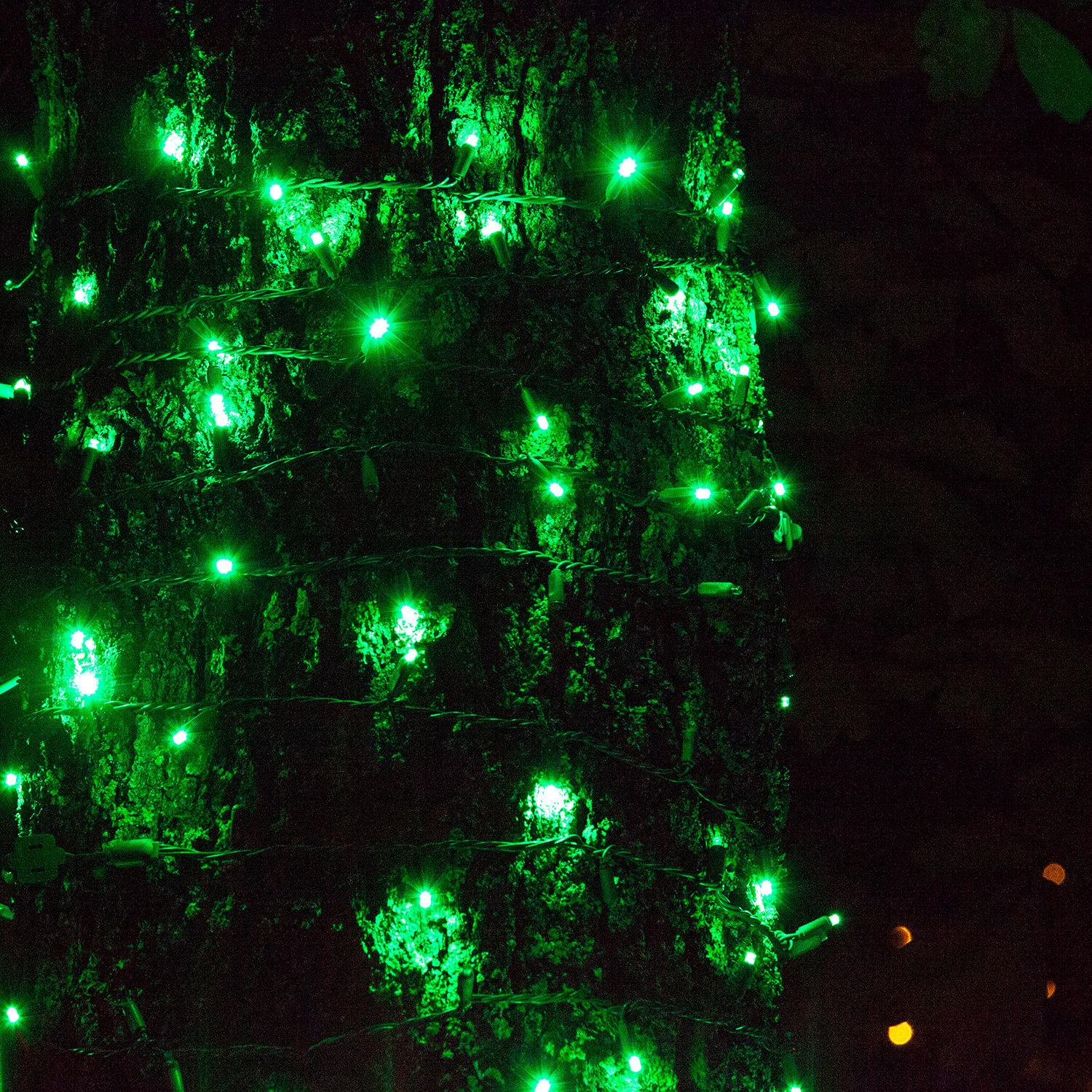 17' LED Twinkle String Lights, Green