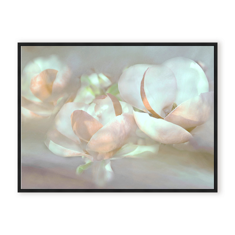 Nature Inspired Magnolia Dreams, 24" H x 30" W x 1.125" D, Framed Matted Print, White