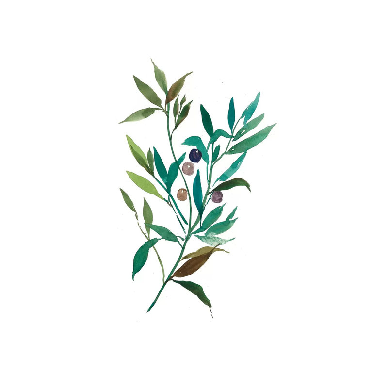 Olive I 1 Piece Wrapped Canvas Painting, 30.48 cm H x 45.72 cm W x 1.91 cm D