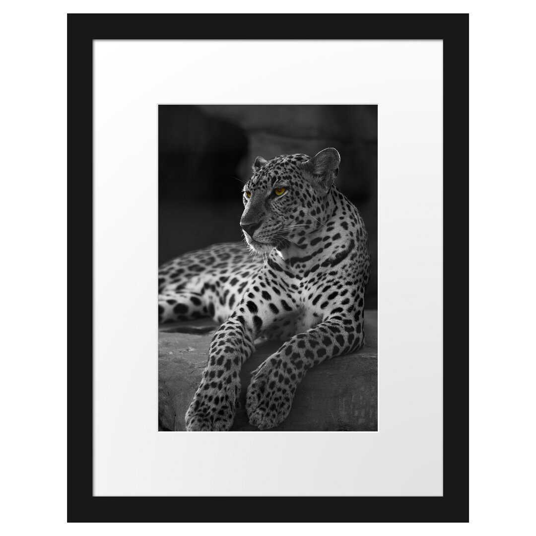 Gerahmtes Poster Leopard auf Felsen Liegend