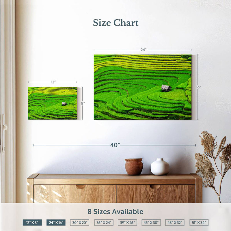 Champ de riz Alvord Ha Giang, H 16 po x l 24 po