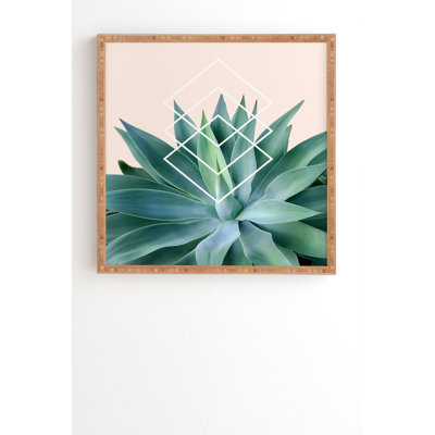 « agave geographical metrics pêche », impression