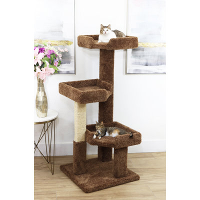 Arbre à chat