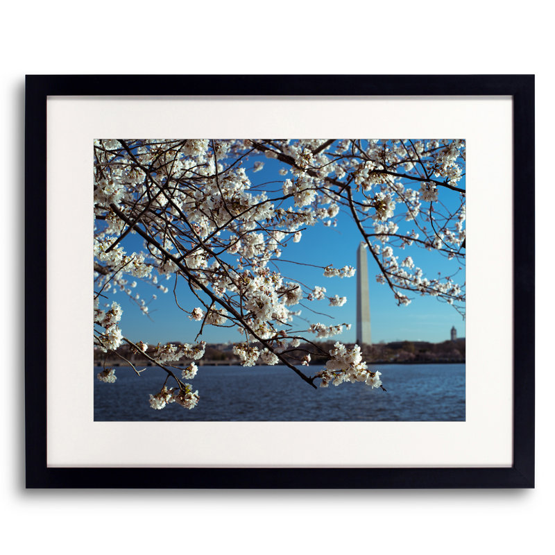 Full Bloom Print by Scott Wurzel, Black Framed Paper, 17.2" H x 21.2" W