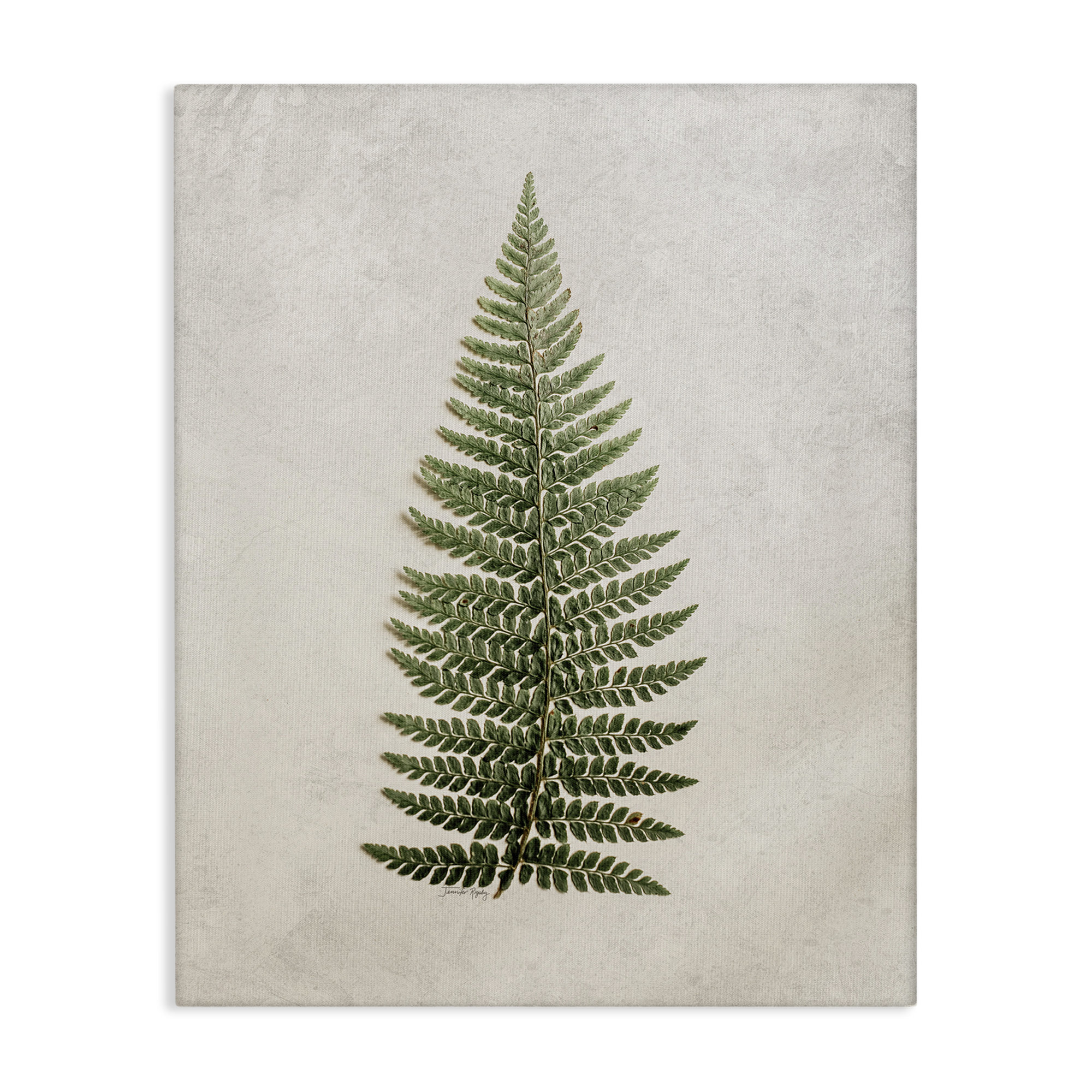 August Grove Detailed Fern Leaf Canvas Wall Art by Jennifer Rigsby ...