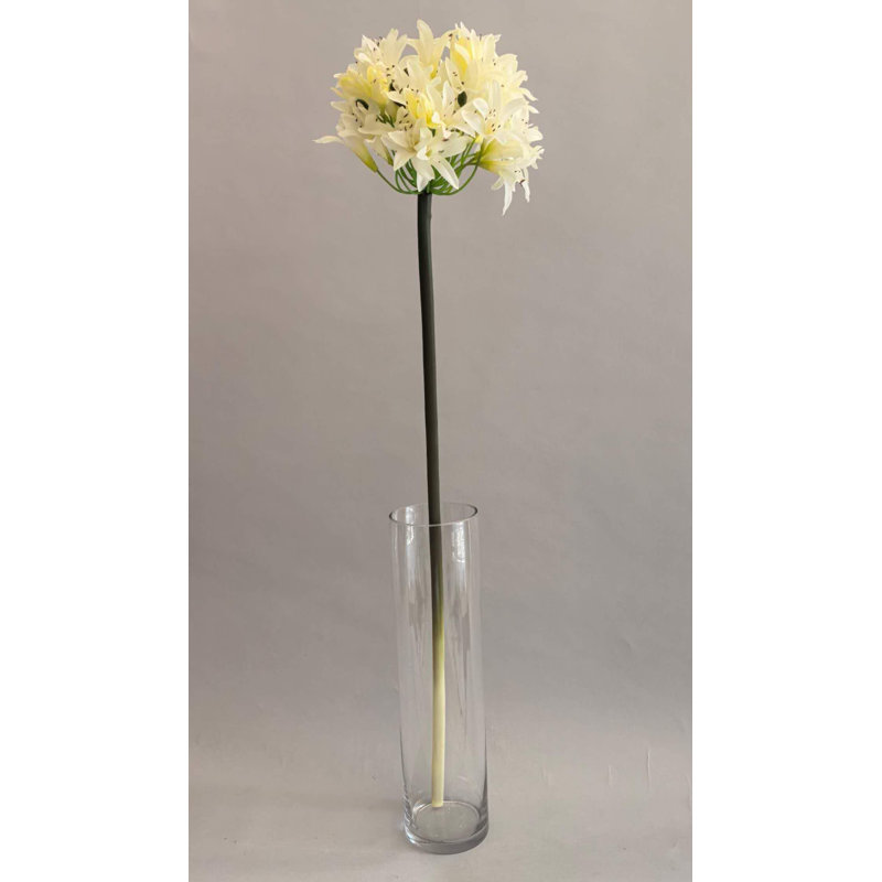 SPRAY POUR AGAPANTHUS, White