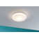 Flush Ceiling Light