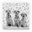 « dalmatien », reproduction d’impression sur toile tendue-31972579