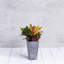 Pot à fleurs en pierre Alaunah-97461803-97461808
