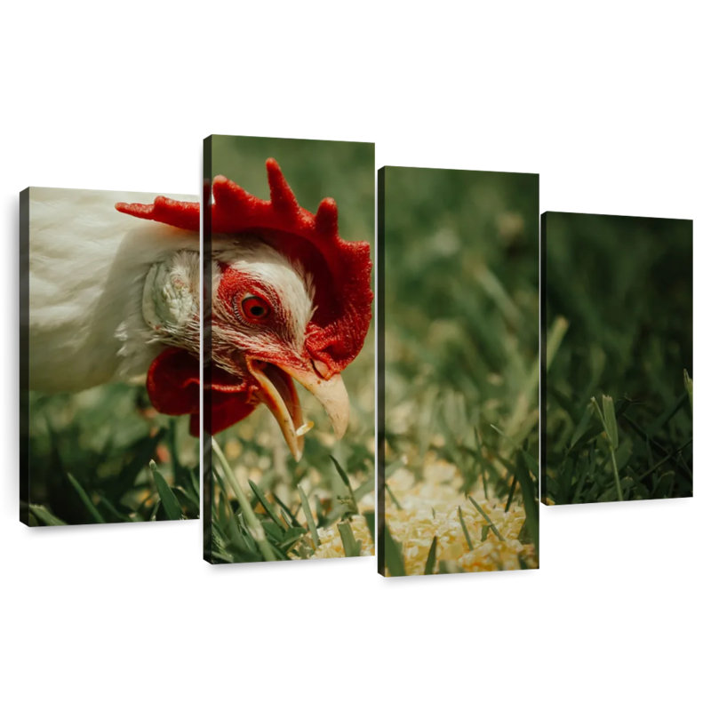Brampt Chicken Eating Corn, 48" H x 75" W