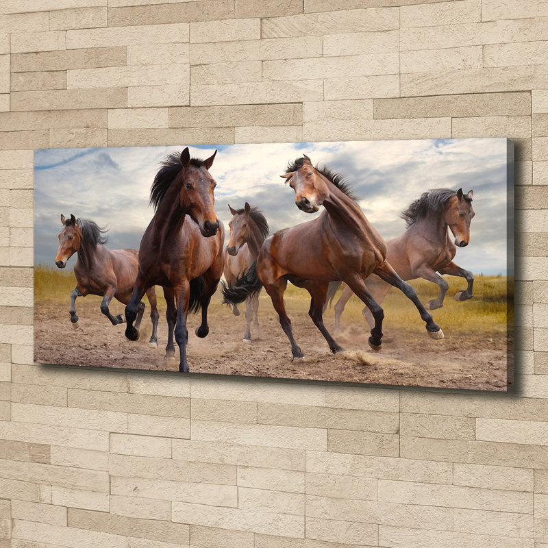 Five Horses - Print, Canvas, 50cm H x 125cm W x 2cm D