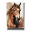 «Horse 1» par Petals Prints Design-1703184666