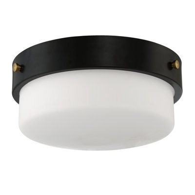 Glass Flush Mount