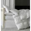 Cardigan Goose Down Comforter-36094083-36094081