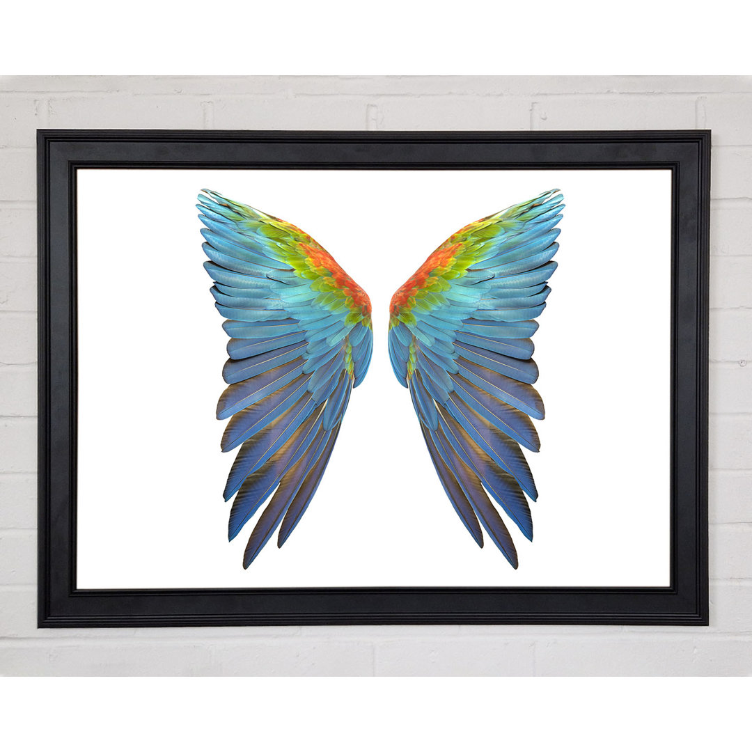 Papagei Vibrant Wings Gerahmter Druck