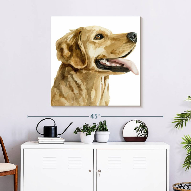 Brampt Pet Profile II, 30" H x 30" W