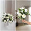 Hagerman Arrangement