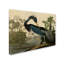 «Johniana Audubon» par John James Audubon-35748152-31354367