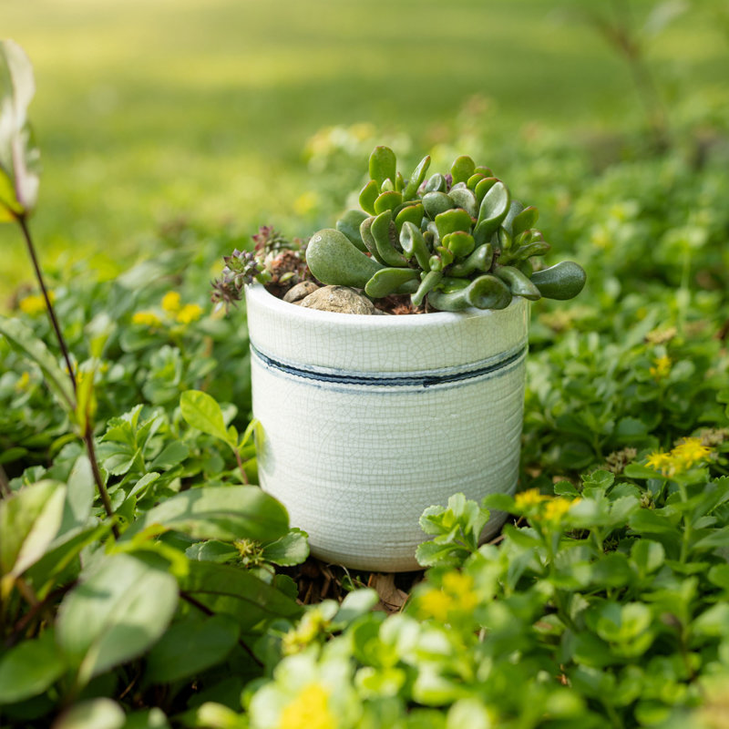Foreside Home & Garden Vintage Crackle 5.5 Inch Planter Pot Blue Stripe Stoneware