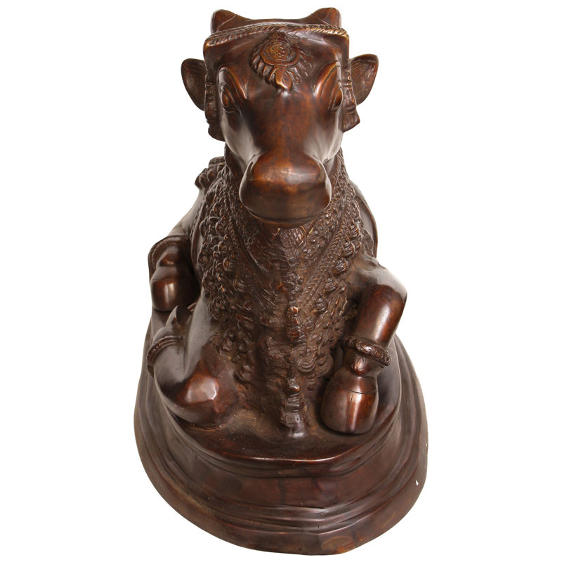 Le Nandi magnifiquement orné, Brun