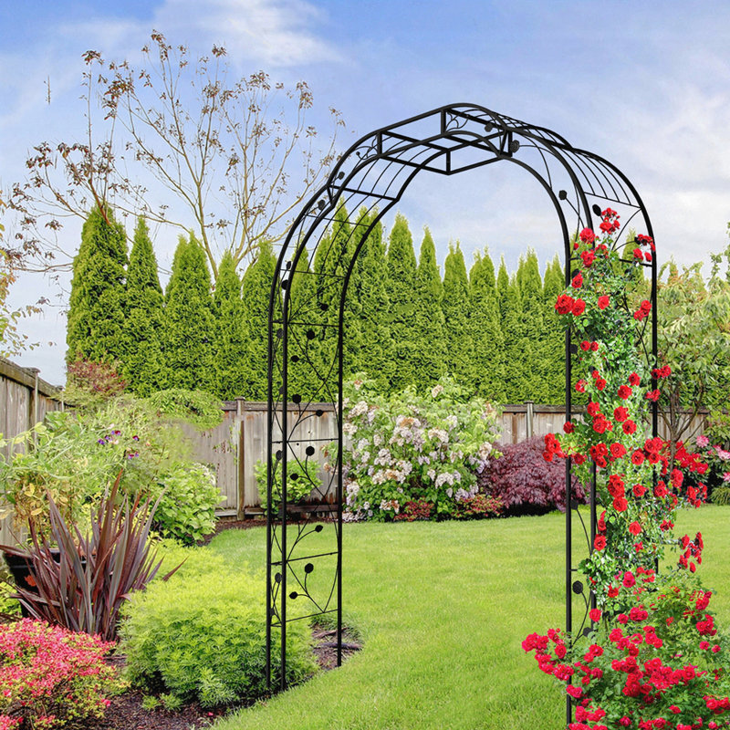 Jardin en métal arche de jardin l 74,4 po x H 98,4 po, Noir