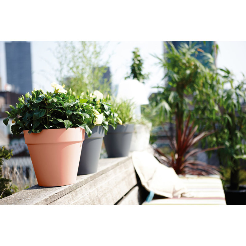 Pot Planter, Delicate Pink, 35.2cm H x 39cm W x 39cm D