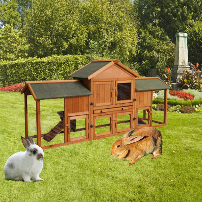 Dannetta Weather Resistant Small Animal Hutch