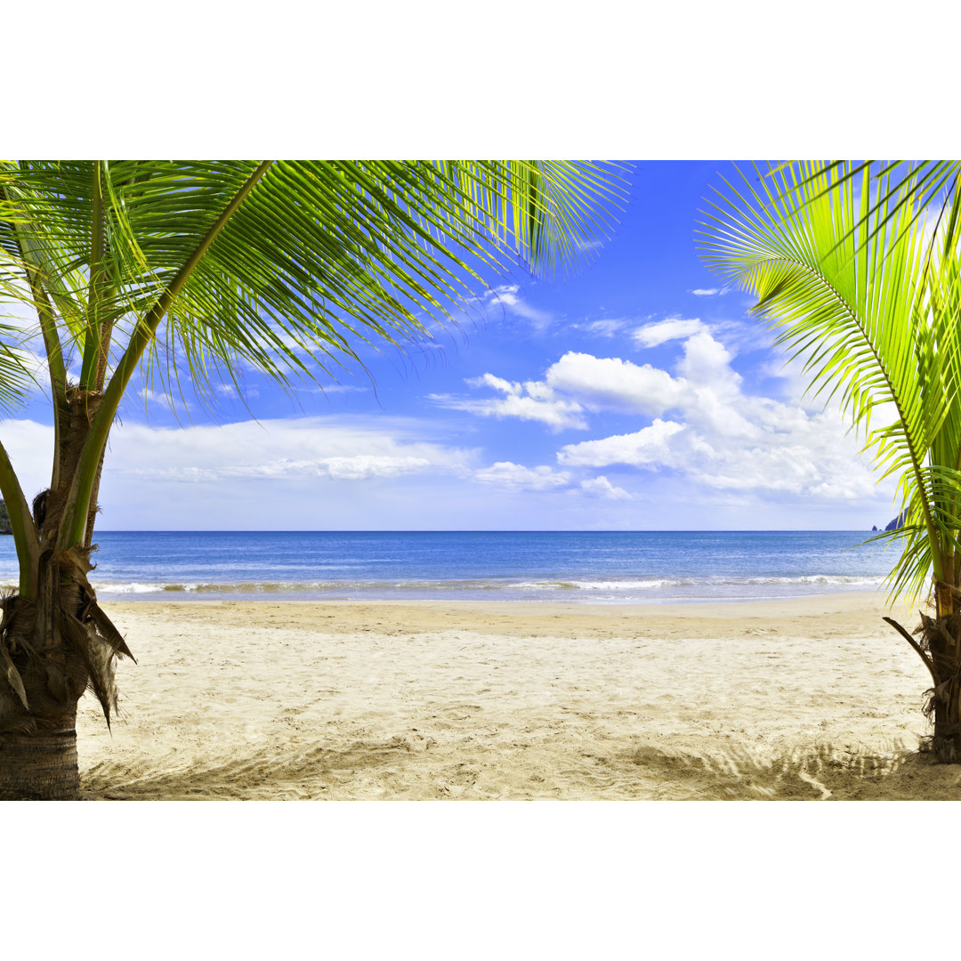 Tranquill Tropical Island Beach von Apomares - Kunstdrucke auf Leinwand ohne Rahmen