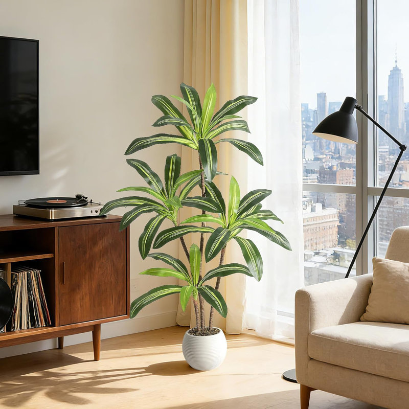 9.84cm Plant, 120 cm x 22 cm