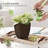 Plant Pots Indoor With Drainage - 7/6.6/6/5.3/4.8 Inches Flower Pots For Indoor Planter - 5 Pack Plastic Planters - Ideal For Stocking Stuffers Or Home Christmas Decorations-1413936359