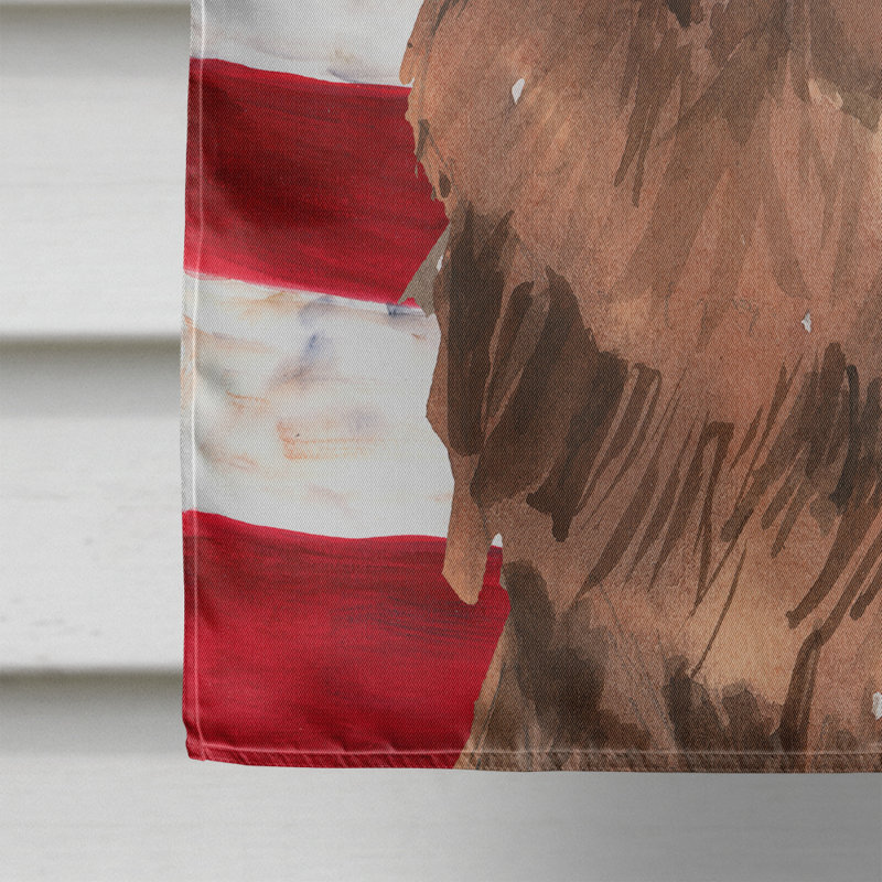 Drapeau de maison en polyester à 2 côtés Shahnur, Terre-neuve brun