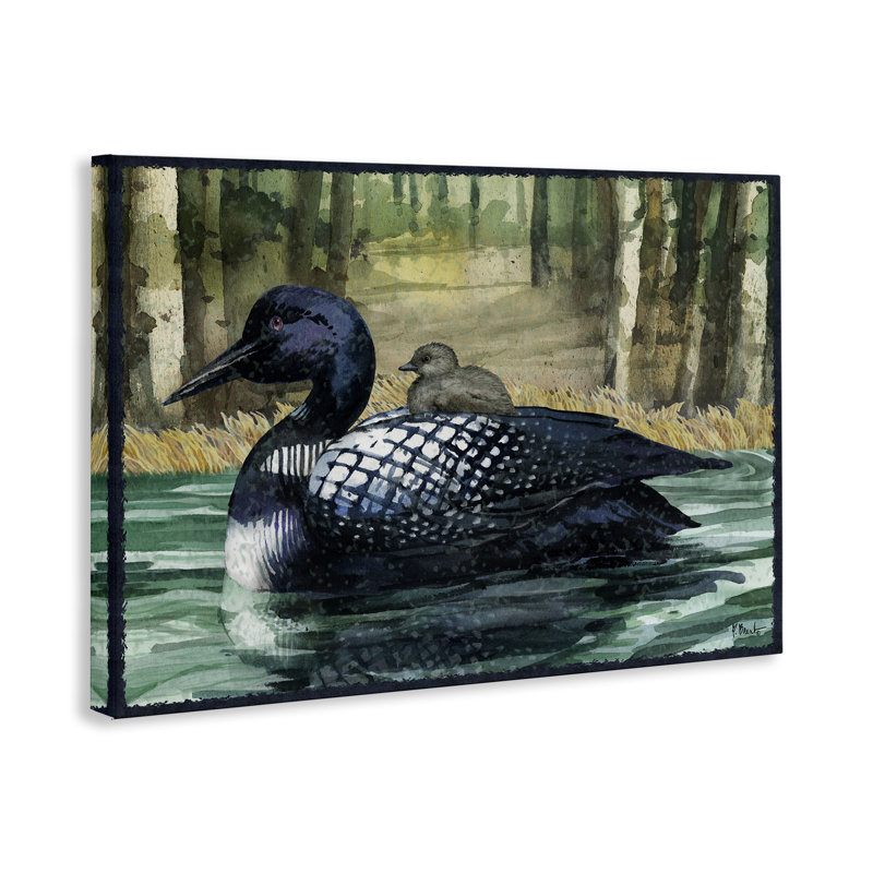Loon avec bébé sur toile de lac, design par Paul Brent, H 20 po x l 30 po