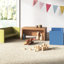 ADAPTA-BENCH - 3 count - Cozy Woodland